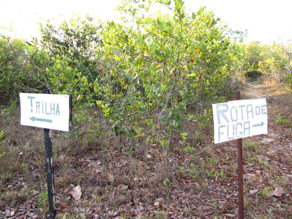 Hotel Fazenda Arara Azul Carolina  Buitenkant foto