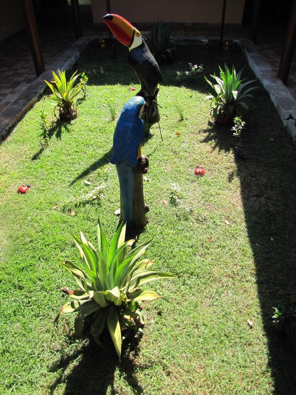 Hotel Fazenda Arara Azul Carolina  Buitenkant foto