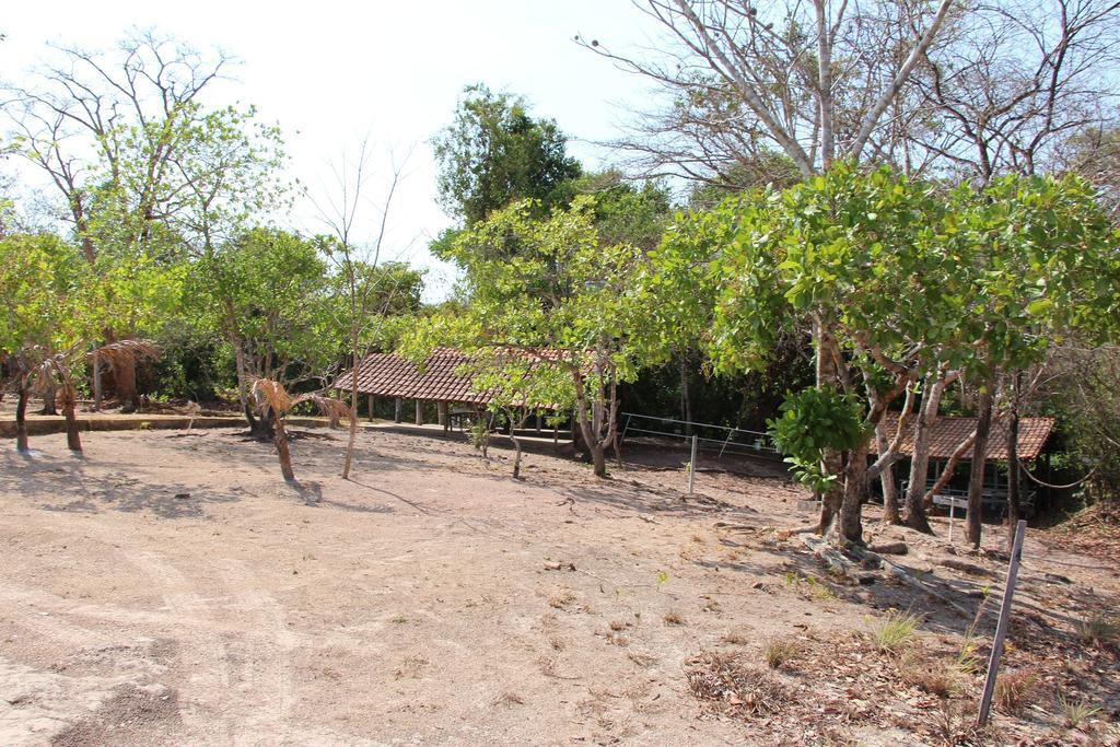 Hotel Fazenda Arara Azul Carolina  Buitenkant foto